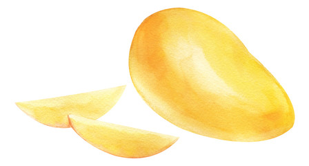Watercolor mango tropical. Isolated fresh exotic mango fruit with slices on white background. Artistic food Hand painted illustration. For design textiles, print or background