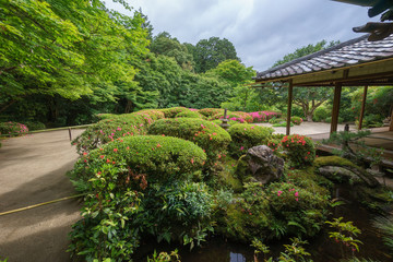 京都 初夏