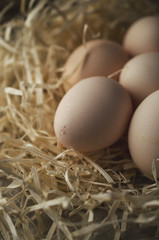 Natural, organic eggs for Easter