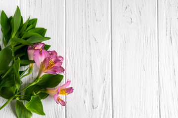 Background for text banner on a dark wooden background with white flowers. Blank, frame for text. Greeting card design with flowers. Aalstroemeria on wooden background. View from above