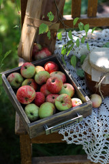 Apple harvest in container