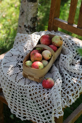Apple harvest in container