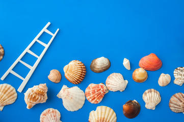 Summer concept with seashells and and toy ladder on blue background. Top view, flat lay.