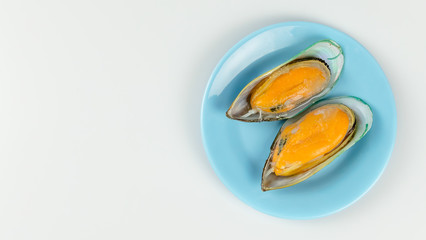 green mussel on blue plate