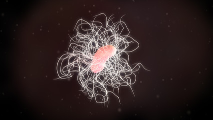 3D illustration of a clostridium difficile bacteria