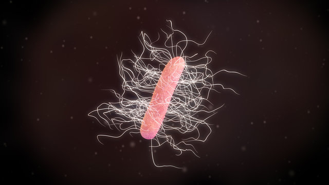 3D illustration of a clostridium difficile bacteria