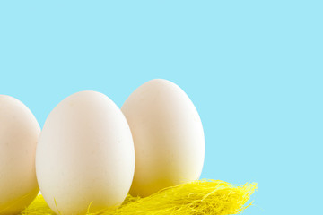 White eggs in bird nest , Easter holiday decorations , Easter concept background. Eggs hunt.