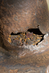 rusted pipe hole