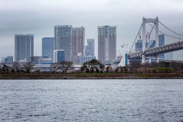 Fototapeta premium Beautiful view of the modern buildings and the bridge over the river. Gloomy sky Odaiba Island.