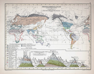 Atlas, infographics.