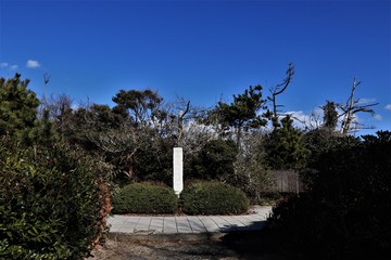 天心遺跡記念公園