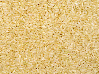 Background of short grain brown rice