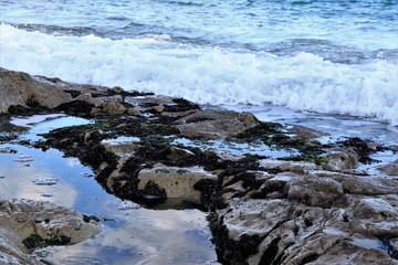 ささき浜（波打ち際）
