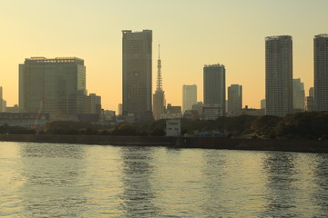 Fototapeta premium Wieżowce i śródmieście o zmierzchu