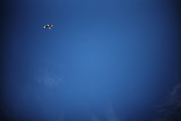 blue sky