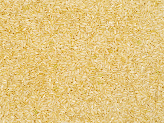 Background of short grain brown rice