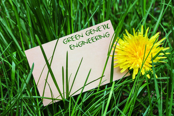 Green genetic engineering