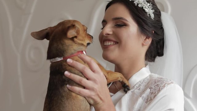 Beautiful and lovely bride in night gown and veil with funny dog. Wedding