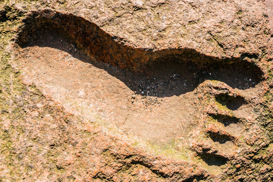 The imprint of a person's foot in granite. Foot. on ground of the yeti. Photos Adobe Stock