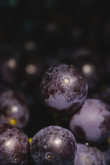 Purple grapes