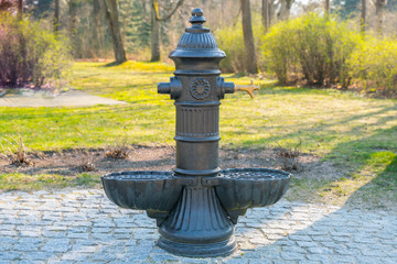 Obraz na płótnie Canvas Water source in the park. Street decorative faucet 