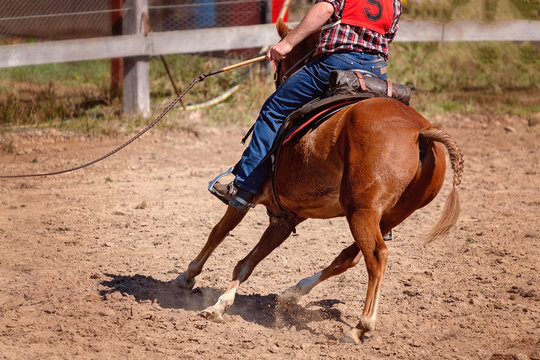 bullwhip Cracking