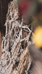 Traditional sandals at the entrance of Akamonji temple in Utatsuyama, Kanazawa Japan