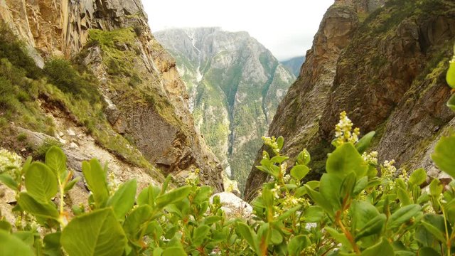 view on majestic mountains of Himalaya from rocky gorge covered with moss and green plant with small white flowers timelapse