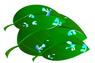 drop water in morning and leaves art