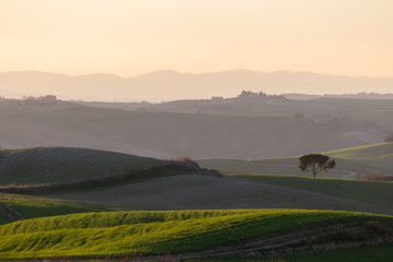 Beautiful view of Tuscany landscape hill at sunset, with mist and warm colors