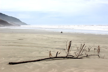 Cloudy day landscape at the beach of Barra do Una, located at Juréia-Itatins Ecological Station, Peruíbe, São Paulo, Brazil.