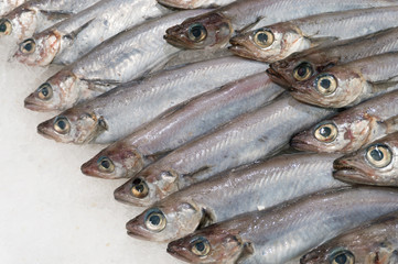 fresh fish on ice
