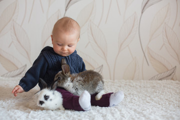 Cute little baby boy, playing with pet rabbits at home