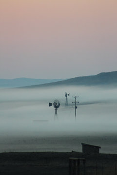 Windmills just visible during misty morning on the farm