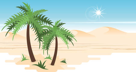 Fototapeta na wymiar Desert landscape with palms