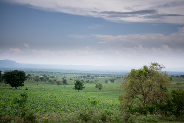 Landscape in Uganda