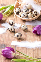 Easter eggs and flower on wooden table. Spring concept on plank