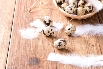 Easter eggs and flower on wooden table. Spring concept on plank