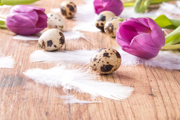 Easter eggs and flower on wooden table. Spring concept on plank