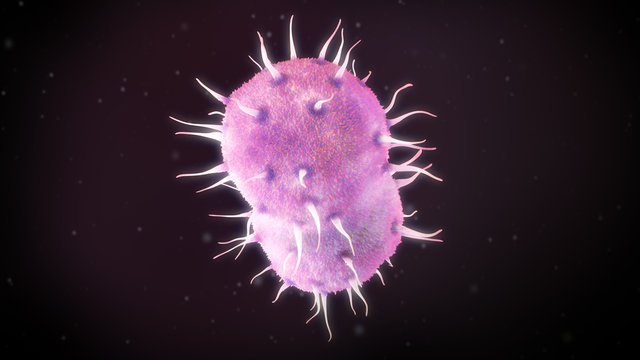 Gonokokken Bilder Durchsuchen 1,266 Archivfotos, und