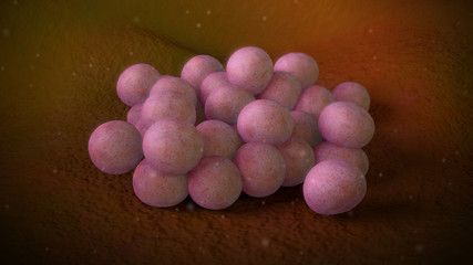 3D illustration of a staphylococcus aureus bacteria