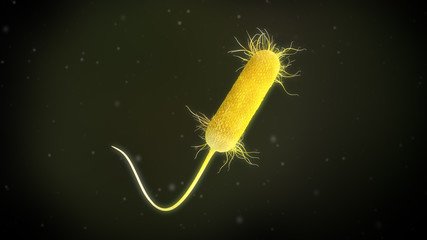 3D illustration of a pseudomonas aeruginosa bacteria