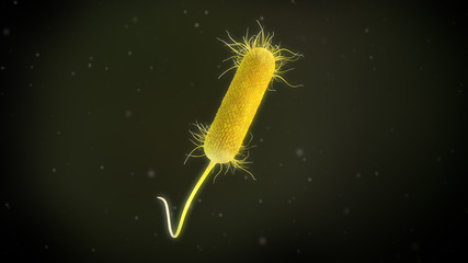 3D illustration of a pseudomonas aeruginosa bacteria