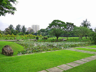 Fototapeta premium Chinese Garden, Singapore