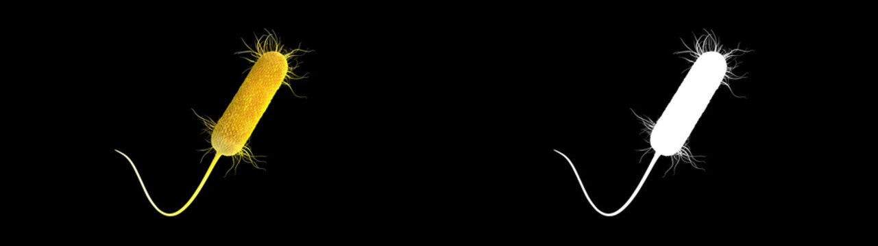 3D illustration of a pseudomonas aeruginosa bacteria