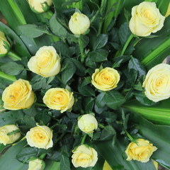 beautiful, artfully arranged flower arrangement