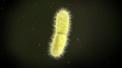 3D illustration of a klebsiella pneumoniae bacteria