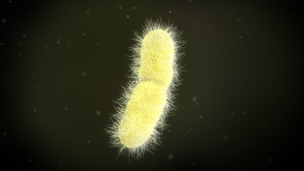 3D illustration of a klebsiella pneumoniae bacteria