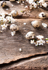 Easter eggs and flower on wooden table. Spring concept on plank