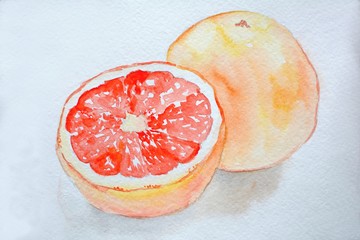 Juicy watercolor grapefruit on a white background